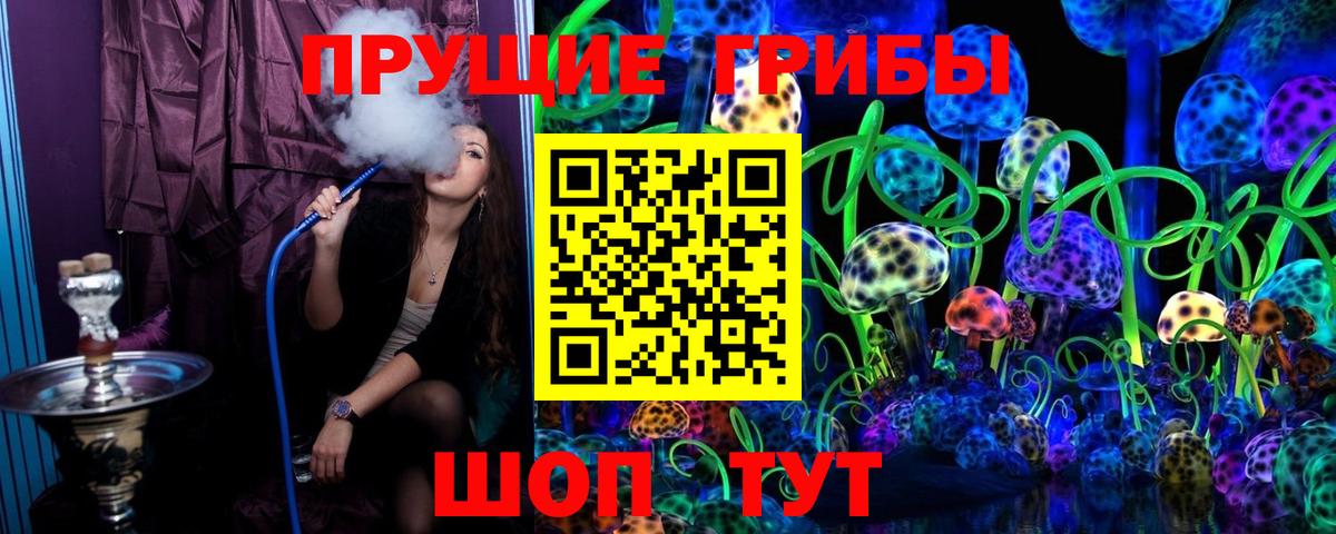 Галлюциногенные грибы GOLDEN TEACHER Сургут