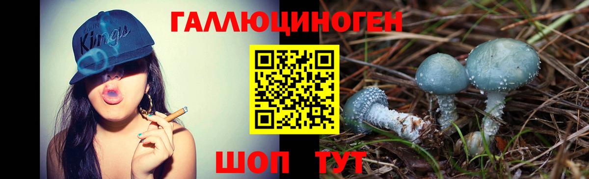 Галлюциногенные грибы мухоморы  Псилоцибиновые грибы Psilocybe  Сургут  Вход с VPN 